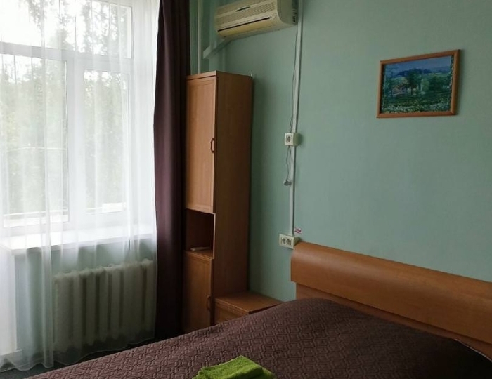Номер стандарт с 1 двуспальной кроватью - Санаторий «Чусовская здравница» Чусовой