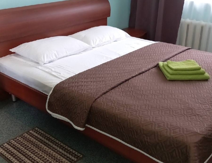 Номер стандарт с 1 двуспальной кроватью - Санаторий «Чусовская здравница» Чусовой